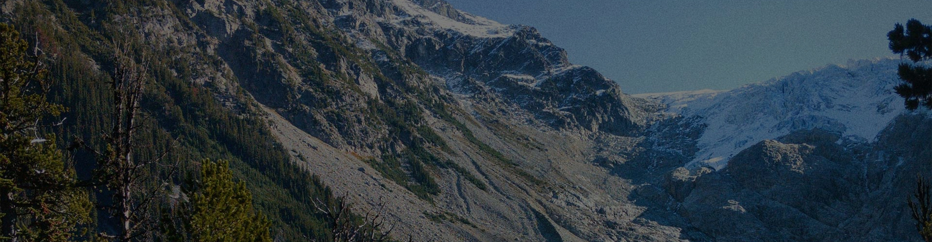 banner image