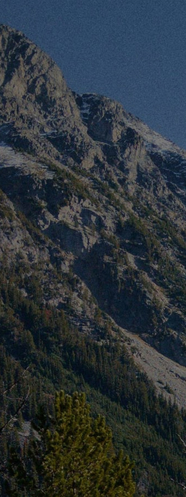 banner image